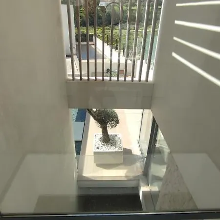 Zizou Mijas * Málaga